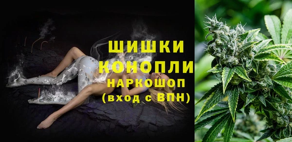 сатива Алексин