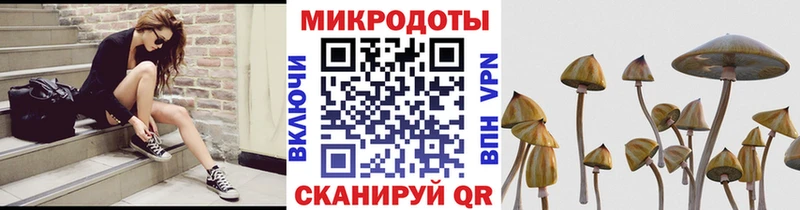 купить  цена  Артёмовский  Псилоцибиновые грибы Psilocybine cubensis 
